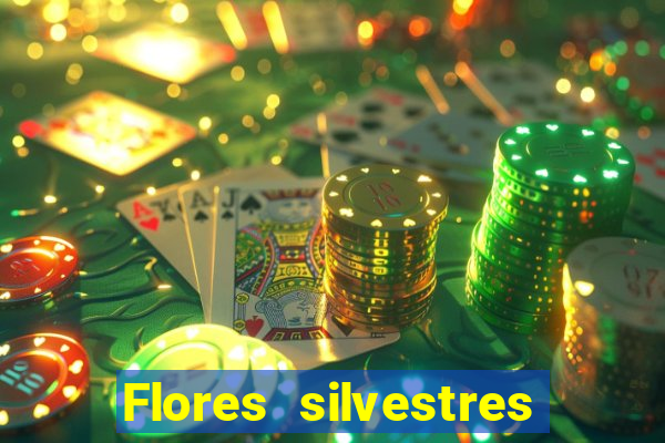 Flores silvestres brasileiras 25